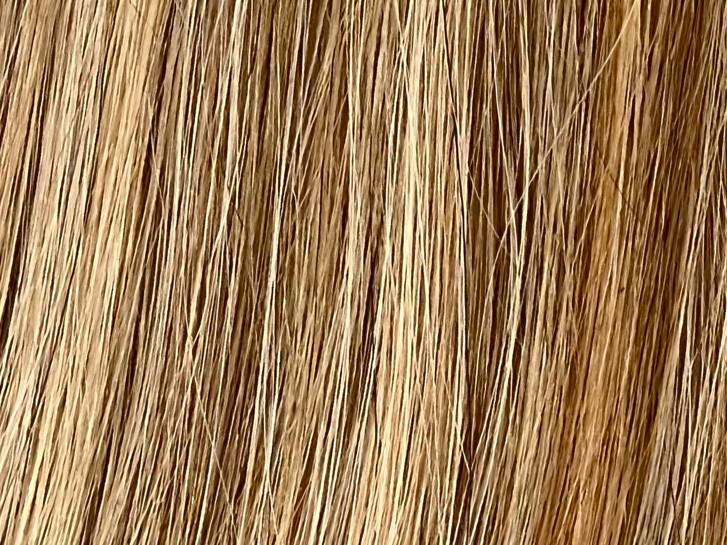 Color 3/8/22 - Shadow Blend - Chestnut Brown/Golden Blonde