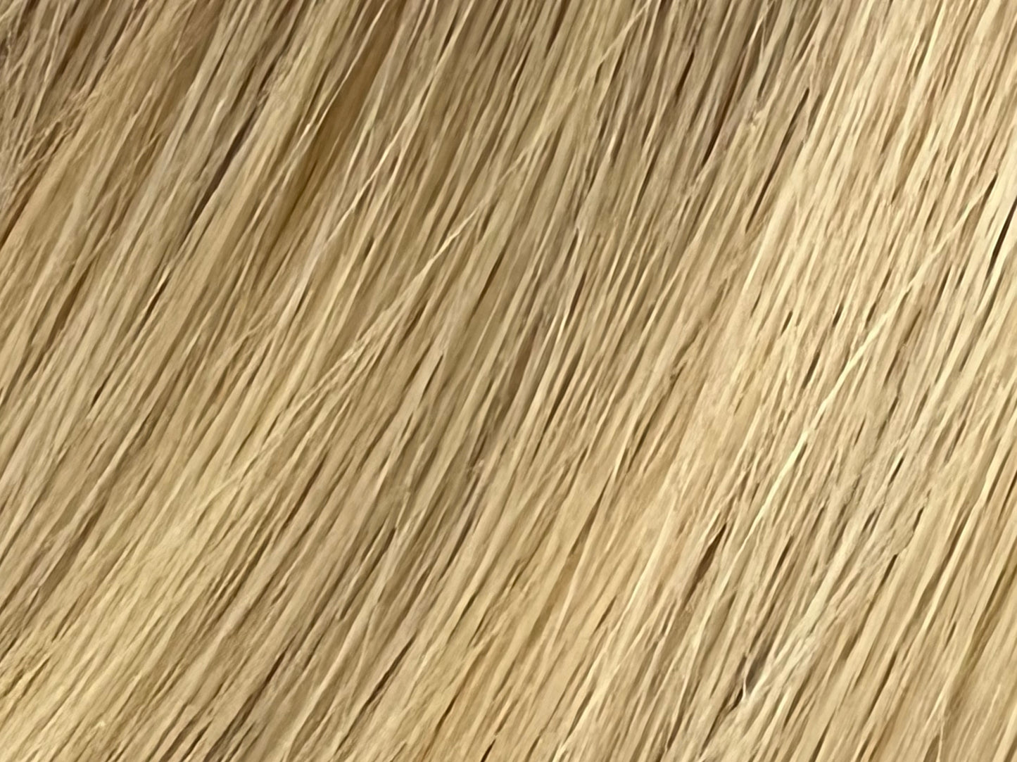 Color 8T/60 - Rooted Light Brown/Platinum