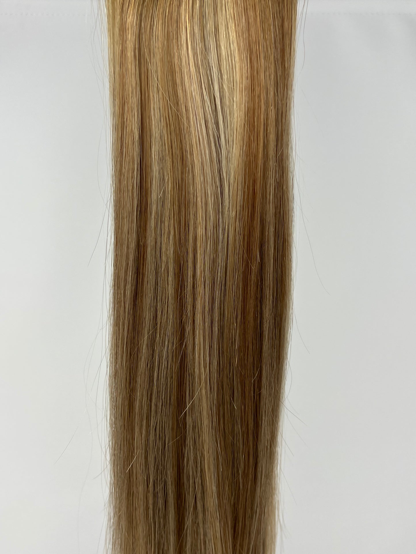 Color 3/8/22 - Shadow Blend - Chestnut Brown/Golden Blonde