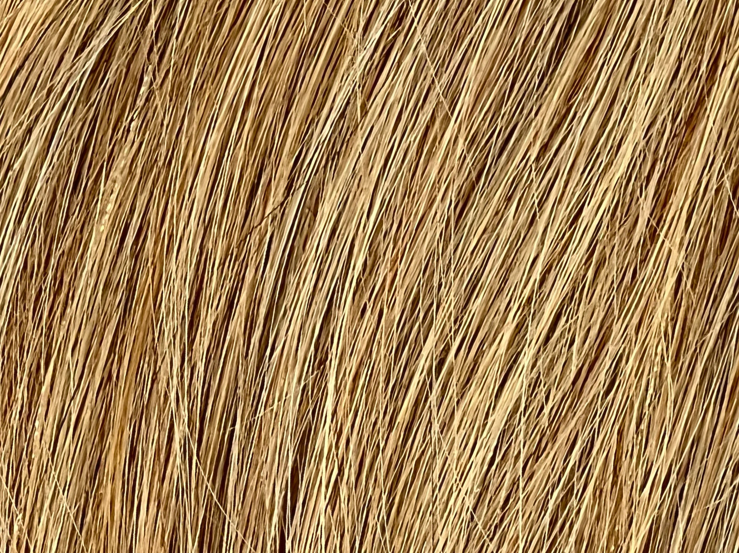 Color 10 - Dark Blonde