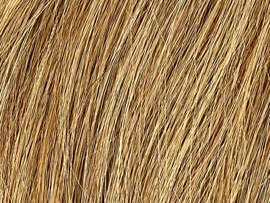 Color 10 - Dark Blonde