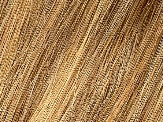 Color 12 - Carmel Blonde