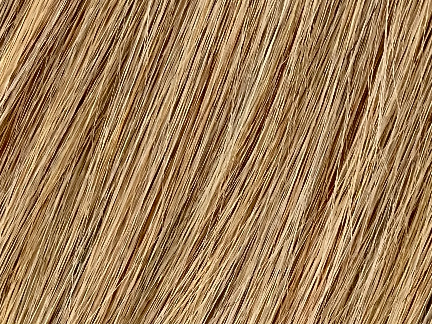 Color 14 - Honey Blonde