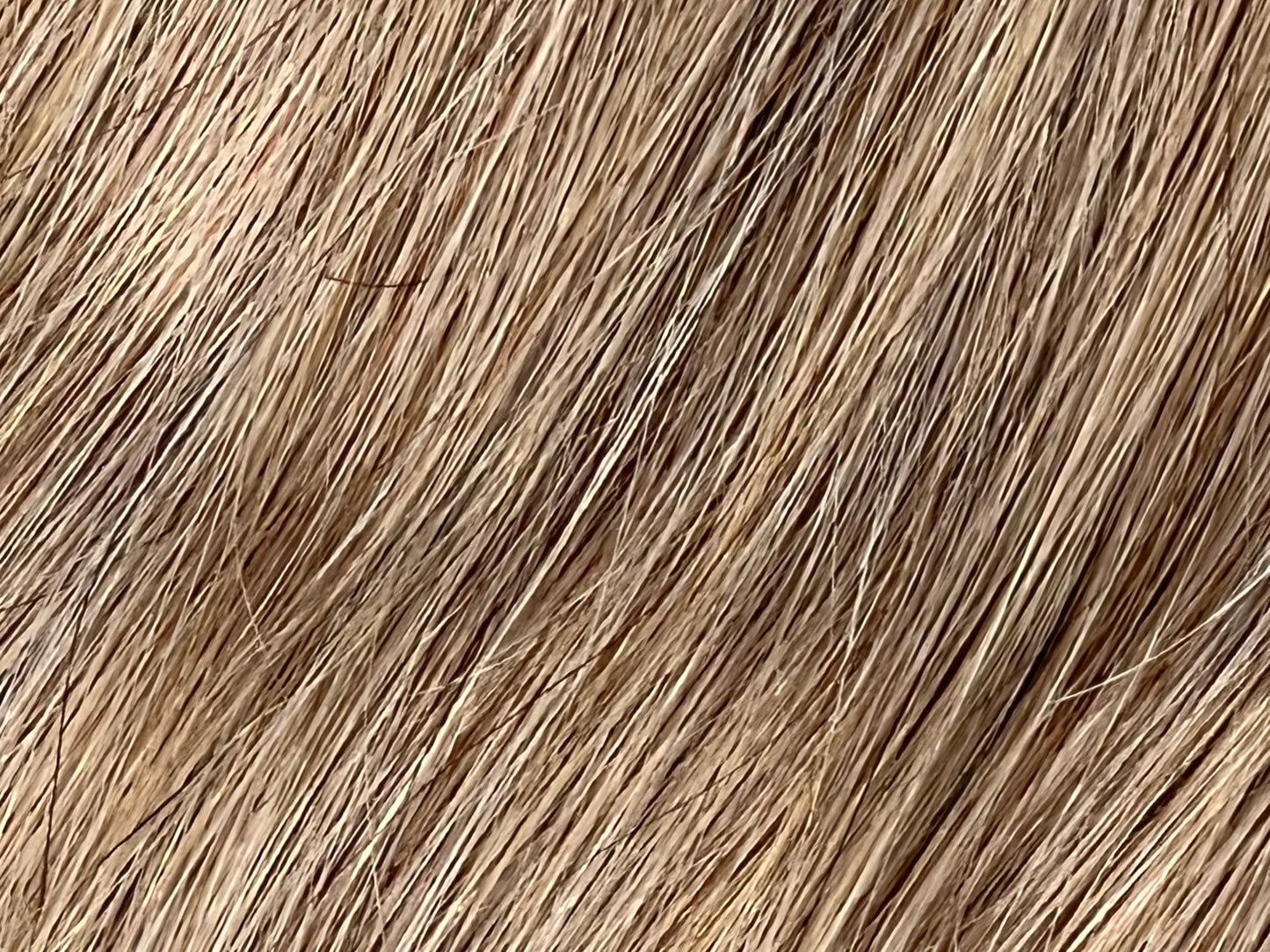 Color 18 - Ash Blonde