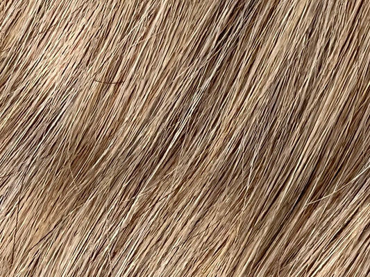 Color 18 - Ash Blonde