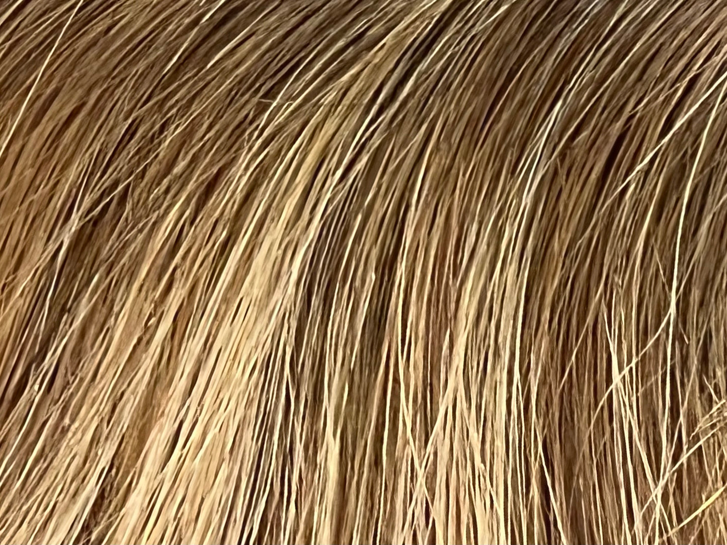 Color 1b/4/27 - Shadow Blend - Soft Black/Medium Brown