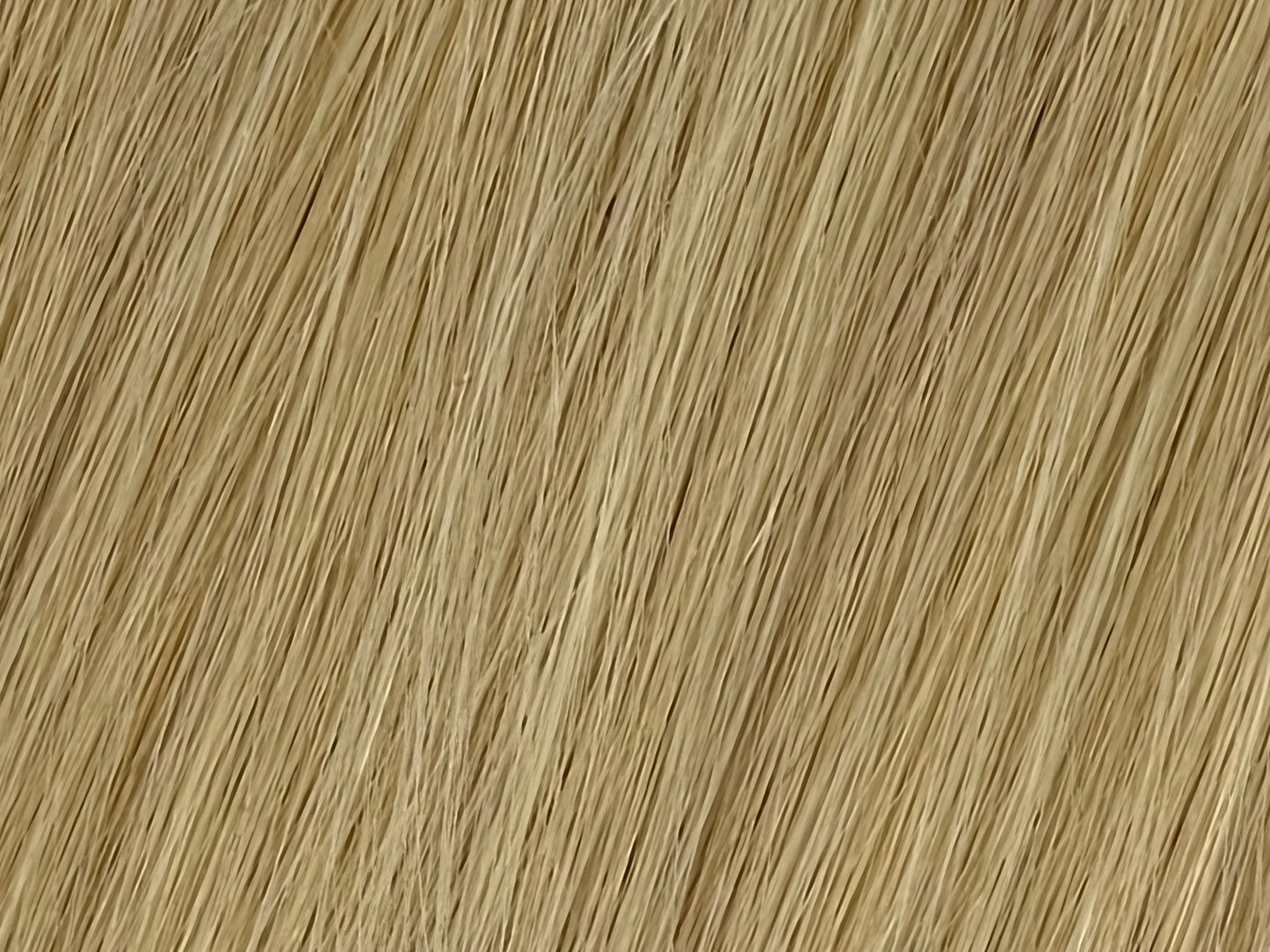 Color 22 - Light Ash Blonde