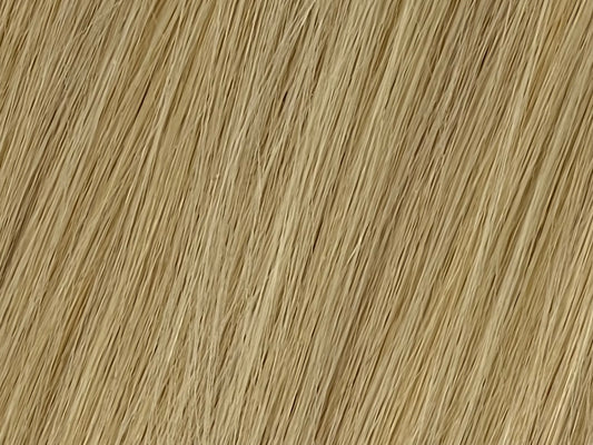 Color 22 - Light Ash Blonde