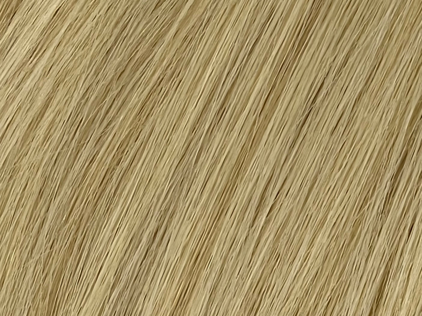 Color 24 - Light Golden Blonde