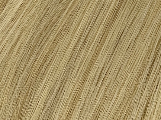 Color 24 - Light Golden Blonde