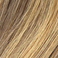 Color 2/6/18 - Shadow Blend - Dark Brown/Ash Blonde
