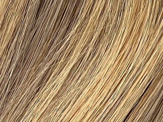 Color 2/6/18 - Shadow Blend - Dark Brown/Ash Blonde