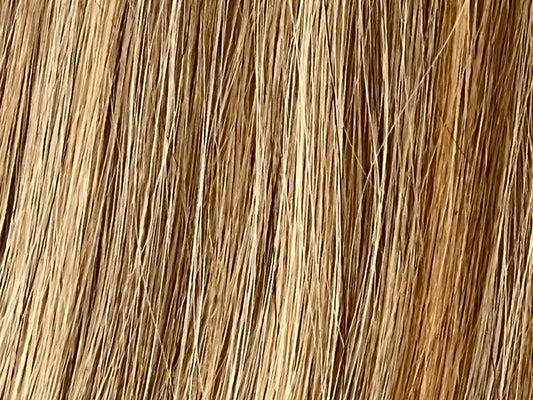 Color 3/8/22 - Shadow Blend - Chestnut Brown/Golden Blonde