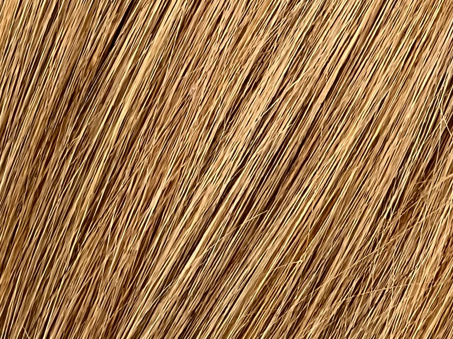 Color 8 - Dark Ash Blonde